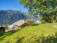 Ferienhaus Les Oisillons mit Außensauna-31