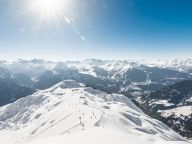 Ferienwohnung Les Alpages de Champagny Ferienwohnung B11-27