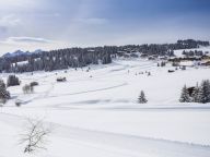 Ferienwohnung Club MMV Les Chalets des Cimes Balkon nach Süden-39