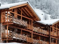 Ferienhaus Das Bauernhaus Wildkogelresorts Chalet-23