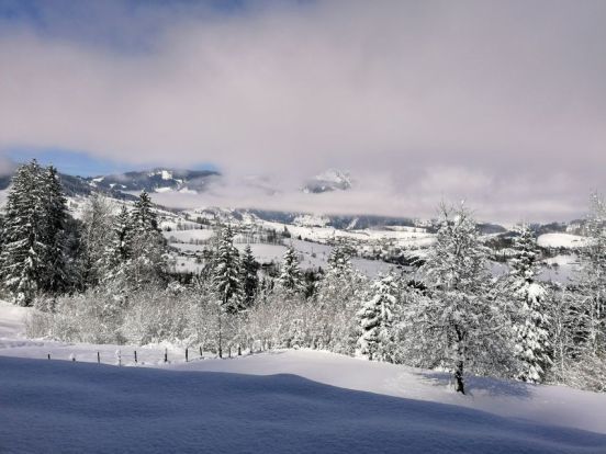 Ferienhaus Winterreitgut-17