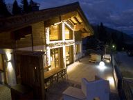 Ferienhaus Edelweissalm max. 10 Erwachsene und 2 Kinder-29