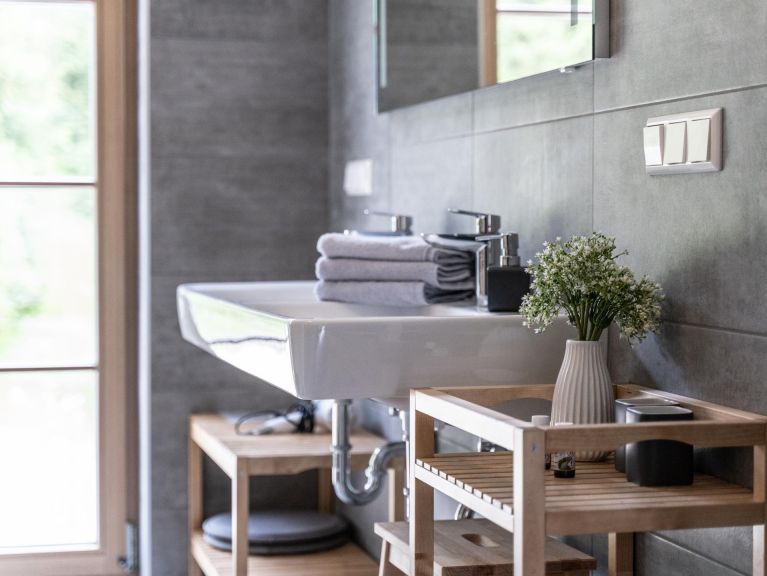Ferienhaus Riesneralm Liene