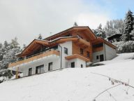 Ferienwohnung Alpenchalet am Wildkogel Gesamtes Ferienhaus mit Wellnessbereich-6
