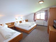 Ferienwohnung Voithofer Top 2-3