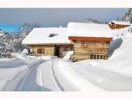 Ferienhaus Petit Châtel mit Außenwhirlpool-16