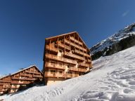 Ferienwohnung Des Neiges mit einer Sauna-22