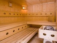 Ferienhaus Alpendorf Dachstein-West Gamsblume-15