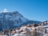 Ferienwohnung Résidence Les Alpages du Corbier-17