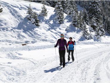 Skidorf Schickes Skidorf mit vielen Einrichtungen-13