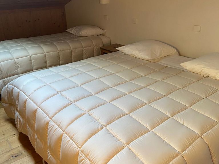 Ferienwohnung Fleur des Alpes Gentiane