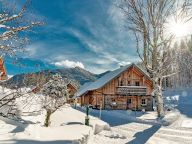 Ferienhaus Almwelt Austria Holzknecht-4