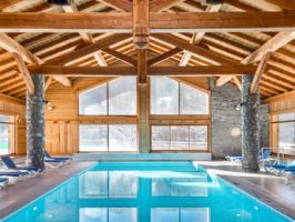 Schwimmbad Chalet Wintersport