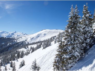 Skidorf An einem Bergsee gelegen mit verschiedenen Après-Ski-Möglichkeiten-4