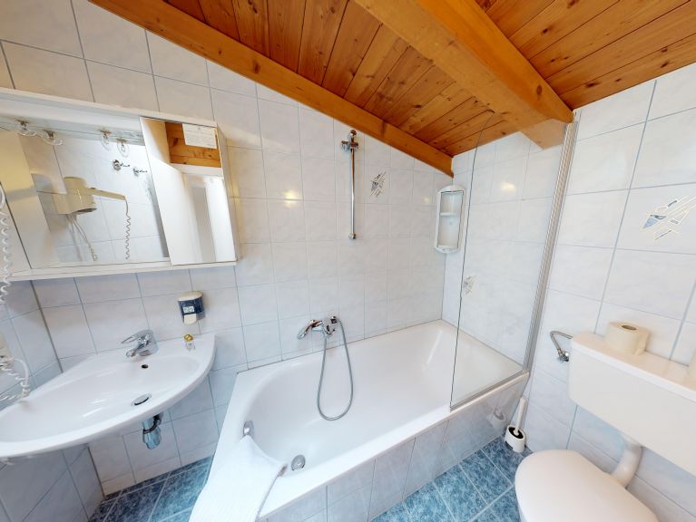 Ferienhaus Edelweiss am See Kombination, 6 Fewos. inklusive Gemeinschaftsküche/Esszimmer