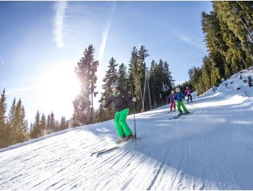 Skidorf Gut erreichbares Skidorf mit geselligem Après-Ski-3