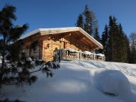 Ferienhaus Almwelt Austria Jagahüttl-8
