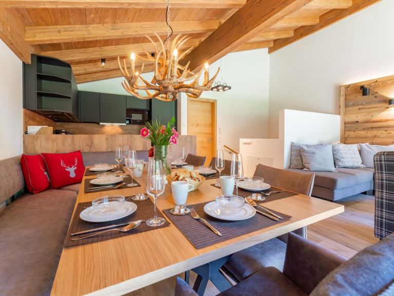 Ferienhaus Pinzgau Lodge 2E