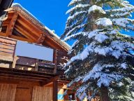 Ferienhaus In de Wolken Catering-Service inklusive, mit Sauna und Whirlpool-14