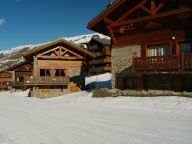 Ferienhaus Le Hameau des Marmottes auf den Pisten-26