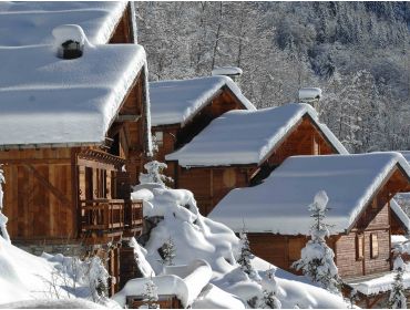 Skidorf Schickes Skidorf mit vielen Einrichtungen-6