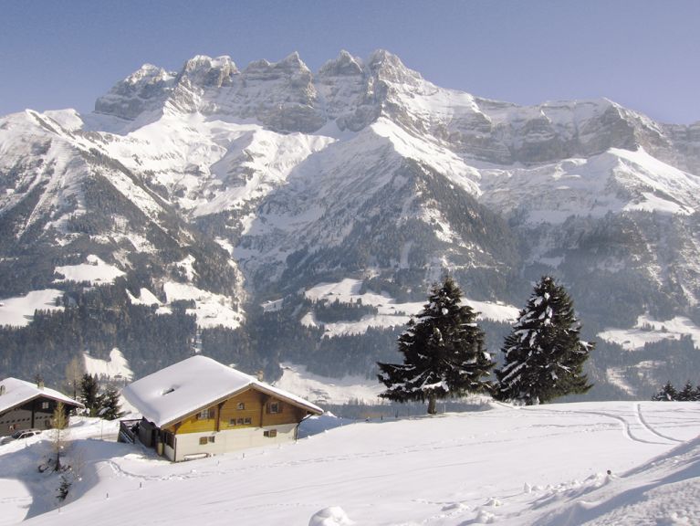 Ferienhaus Les Flats