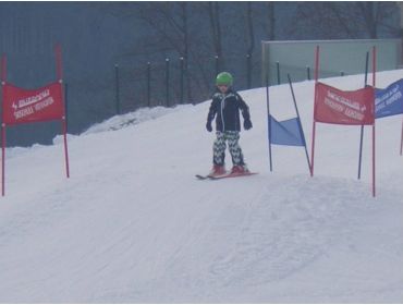 Skidorf Kleines Bergdorf nahe Saalbach-6