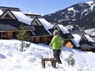 Ferienhaus Le Village Gaulois chalet-11