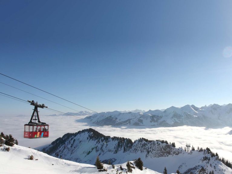 Ferienwohnung Kleinwalsertal Bergnarzisse