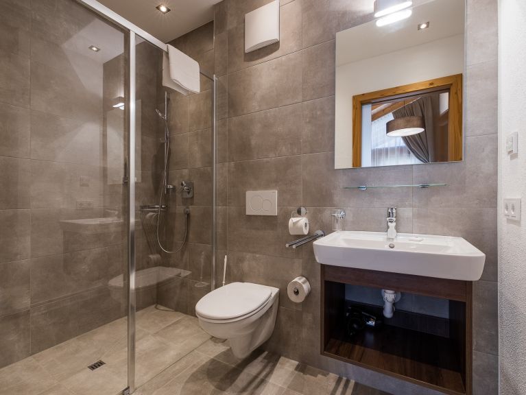 Ferienwohnung Wildkogelresorts Penthouse Typ IIIb