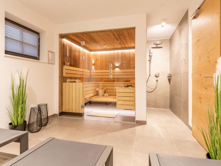 Ferienhaus Tauernlodge Niedernsill 2A