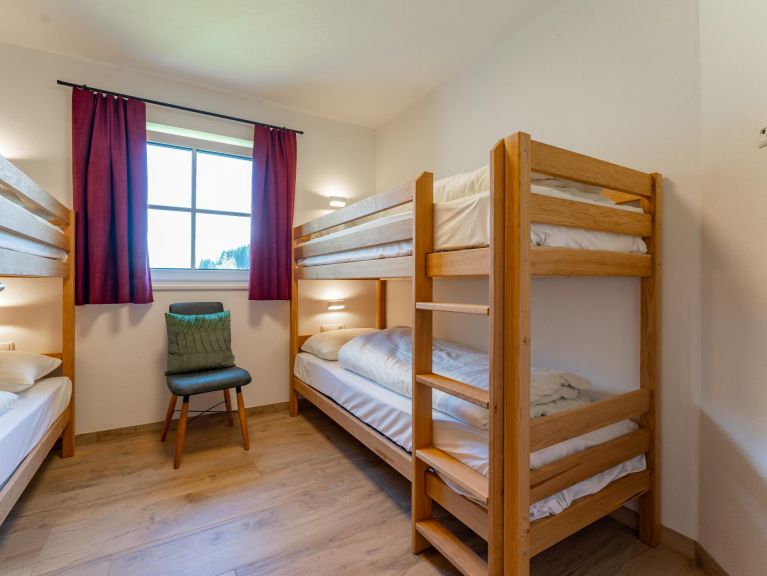 Ferienhaus Pinzgau Lodge 2F