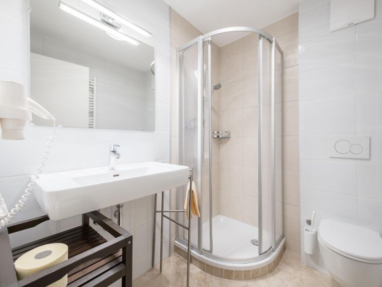 Ferienwohnung Alpensteinbock Typ D