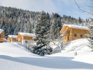 Ferienhaus Alpendorf Dachstein-West Gamsblume-21