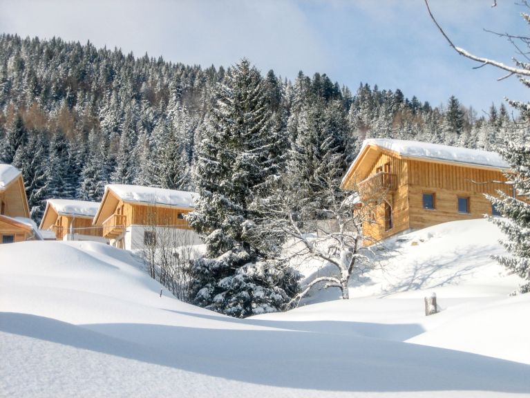 Ferienhaus Alpendorf Dachstein-West Gamsblume