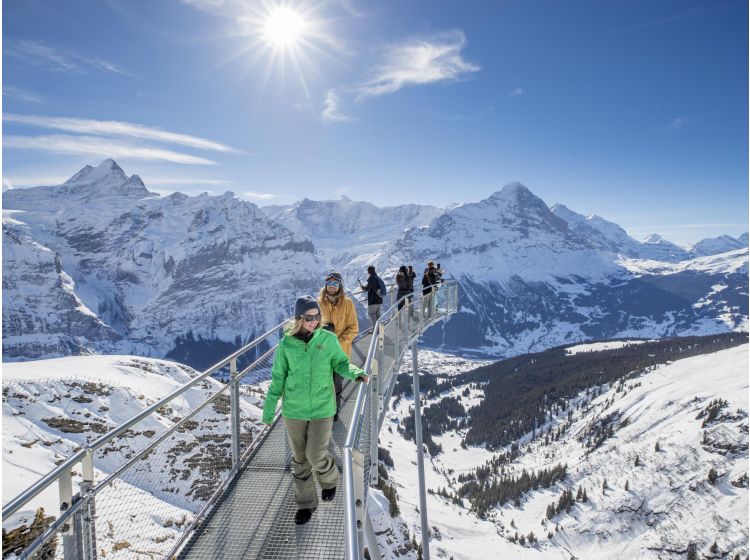 Skigebiet Jungfrau Region-1