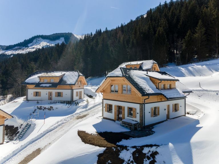 Ferienhaus Riesneralm Im grünen Herzen