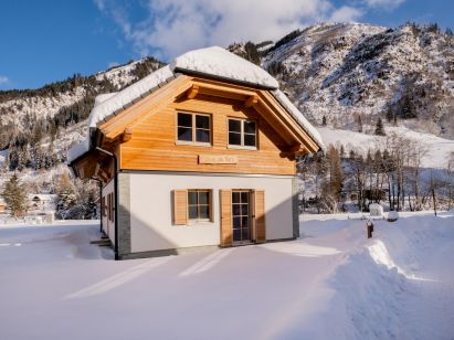 Ferienhaus Riesneralm Haus am Bach-1