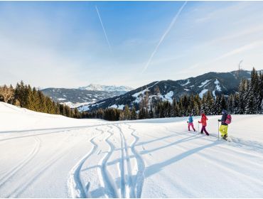 Skidorf Gemütliches Skidorf mit vielen Après-Ski-Möglichkeiten-4