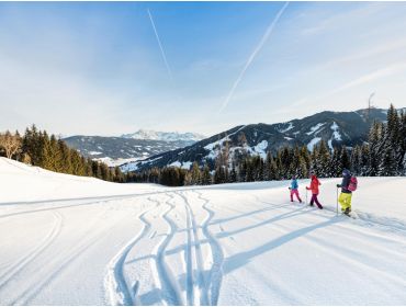 Skidorf Gemütliches Skidorf mit geselligem Après-Ski-4