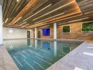 Ferienwohnung Altitude de l'Ours mit eigener Sauna-12