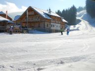 Ferienhaus Almwelt Austria Jagahüttl-16