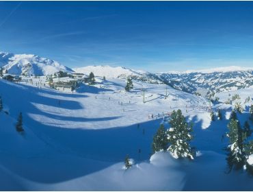 Skidorf Beliebter Skiort mit großem Skigebiet und lebhaftem Après-Ski-10