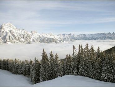 Skidorf Gemütliche Stadt in günstiger Lage mit vielen Langlaufmöglichkeiten-12