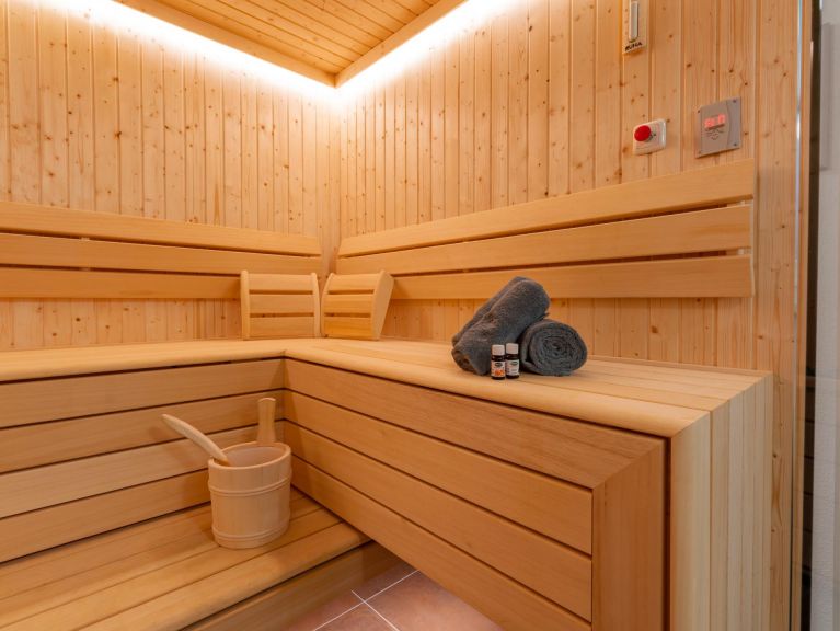 Ferienhaus Pinzgau Lodge 2C