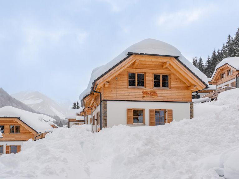 Ferienhaus Riesneralm Pretzel