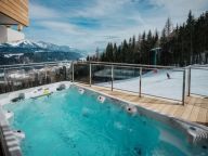 Ferienhaus Reiteralm mit Swim-Spa-22