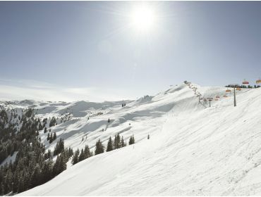 Skidorf Gemütliche Stadt in günstiger Lage mit vielen Langlaufmöglichkeiten-5