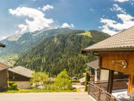 Ferienhaus Dormeur mit Sauna und Außenwhirlpool-19