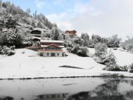 Ferienwohnung Alpenchalet am Wildkogel Gesamtes Ferienhaus mit Wellnessbereich-7